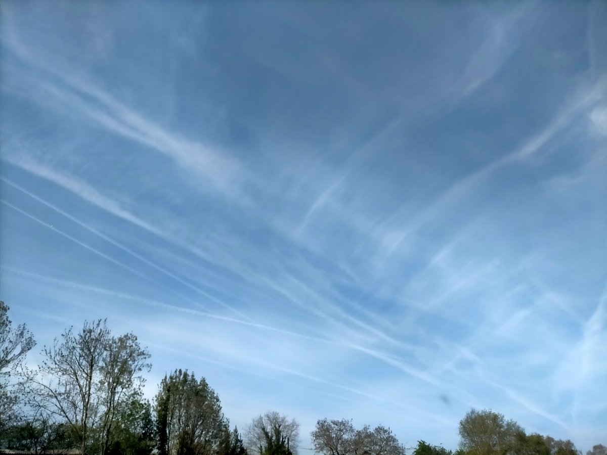 xanastur_79 tweet media