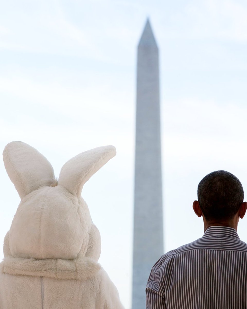 Democrats tweet media