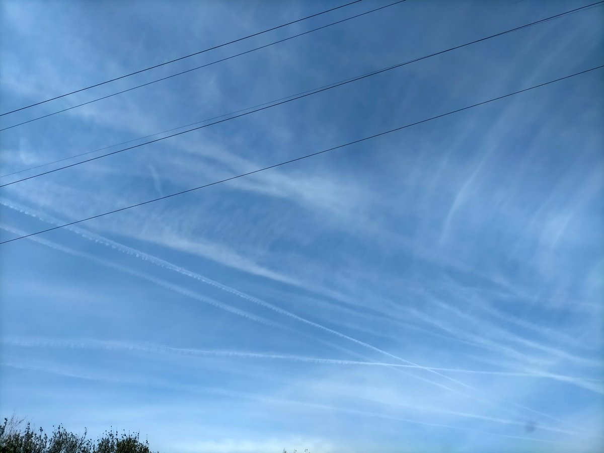 xanastur_79 tweet media