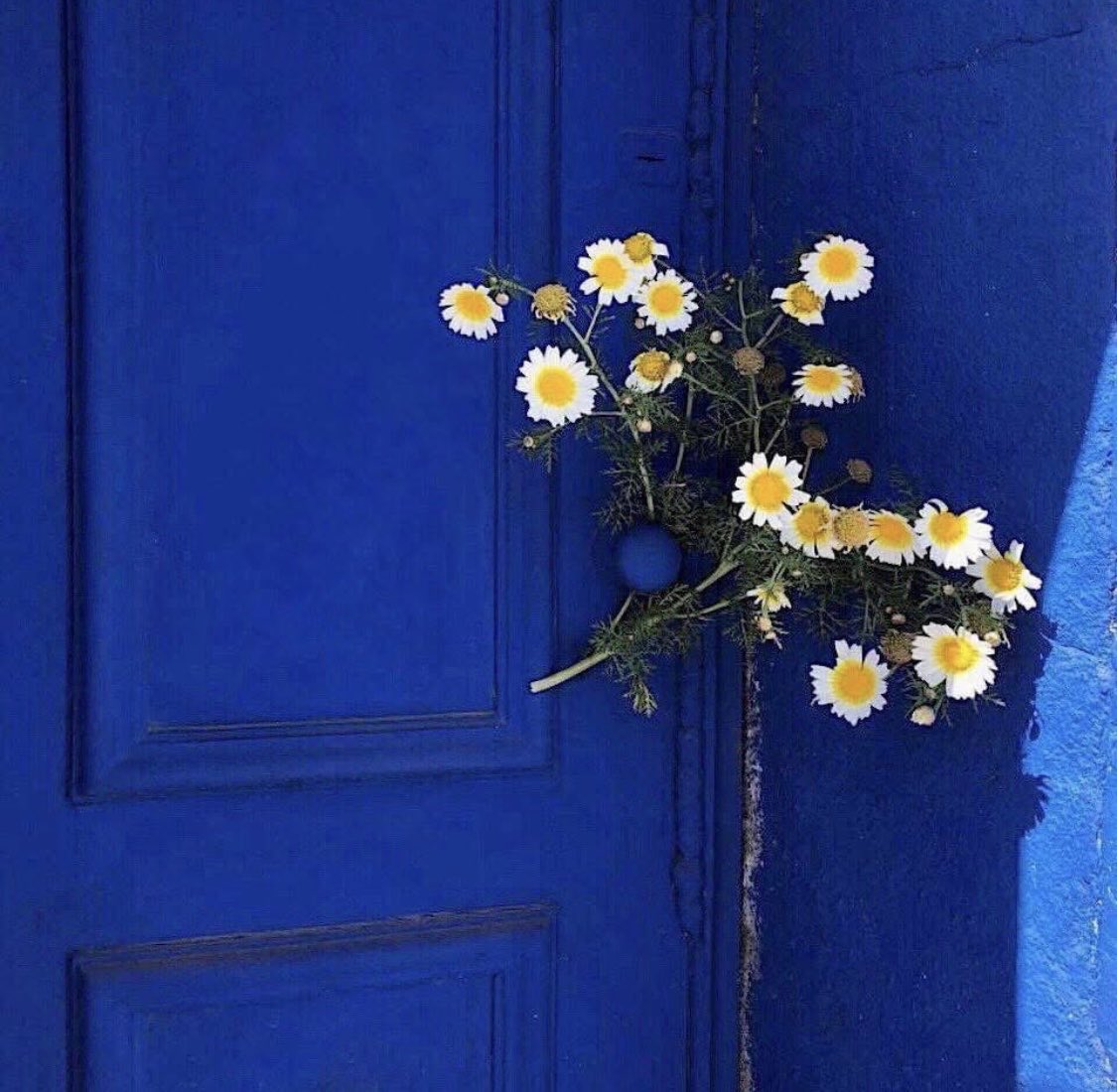 Bazaraa_1020's tweet image. 📸 by Luisa Berger 
.