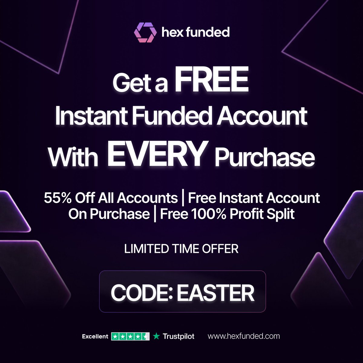 Hex Funded tweet media