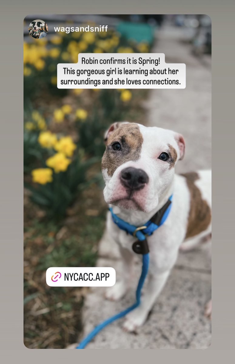 Tootsismyname🏴☠️ tweet media