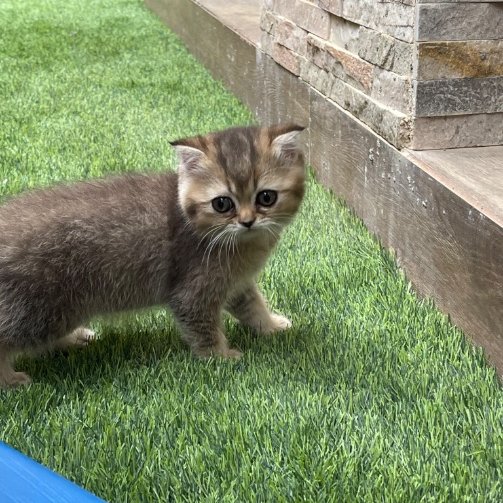 kaizo 🎭 tweet media