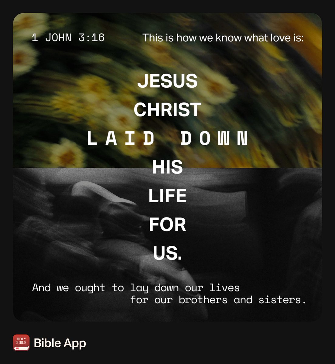 Lisa Underwood tweet media