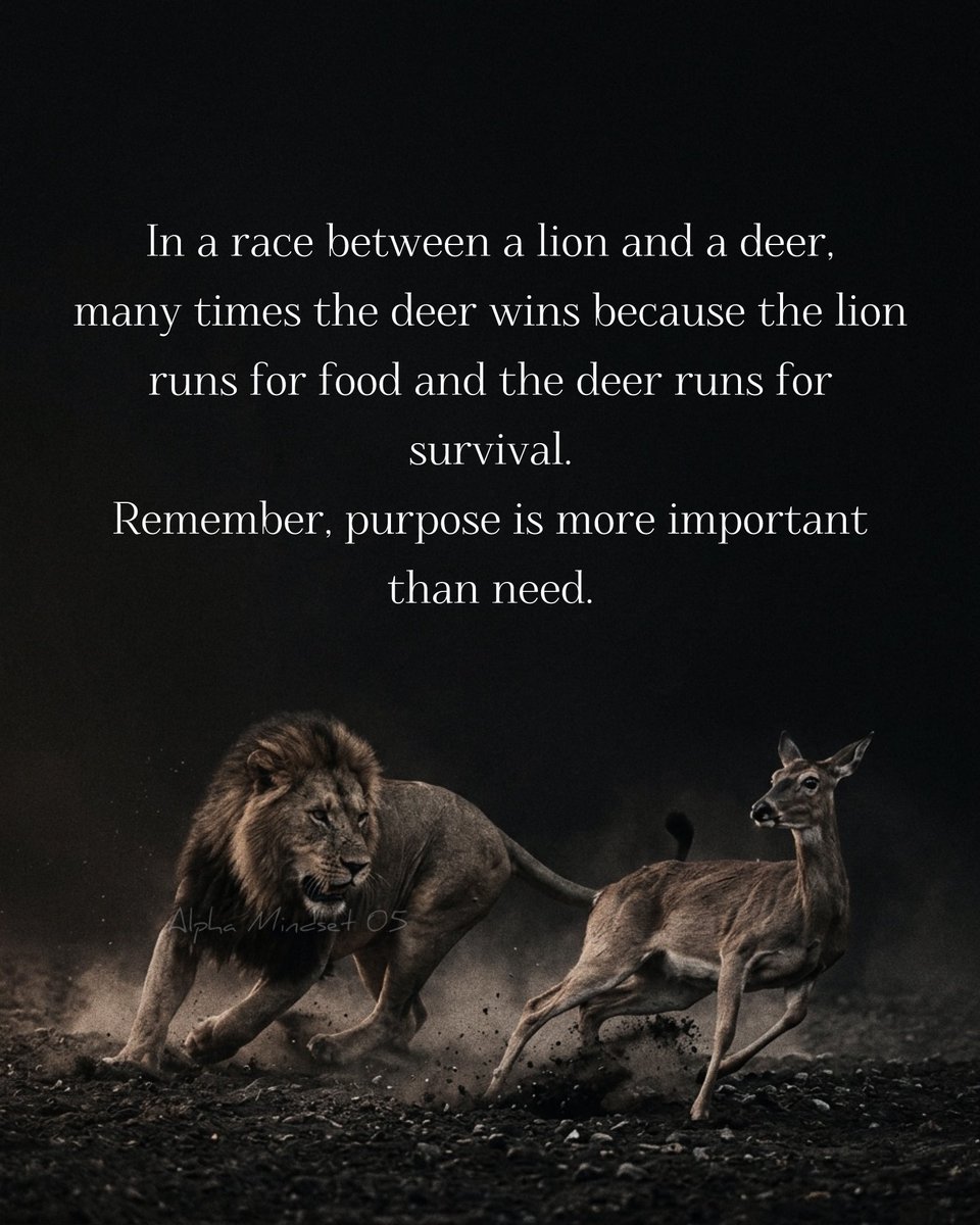 alphamindset05's tweet photo. https://t.co/UazwpdCnMC