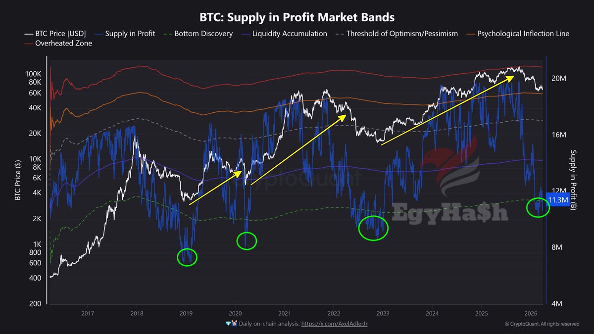 محمد المصري tweet media