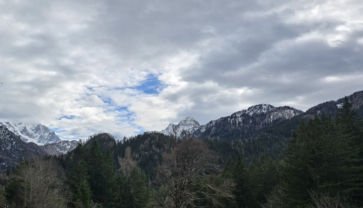 Reisefüchse tweet media