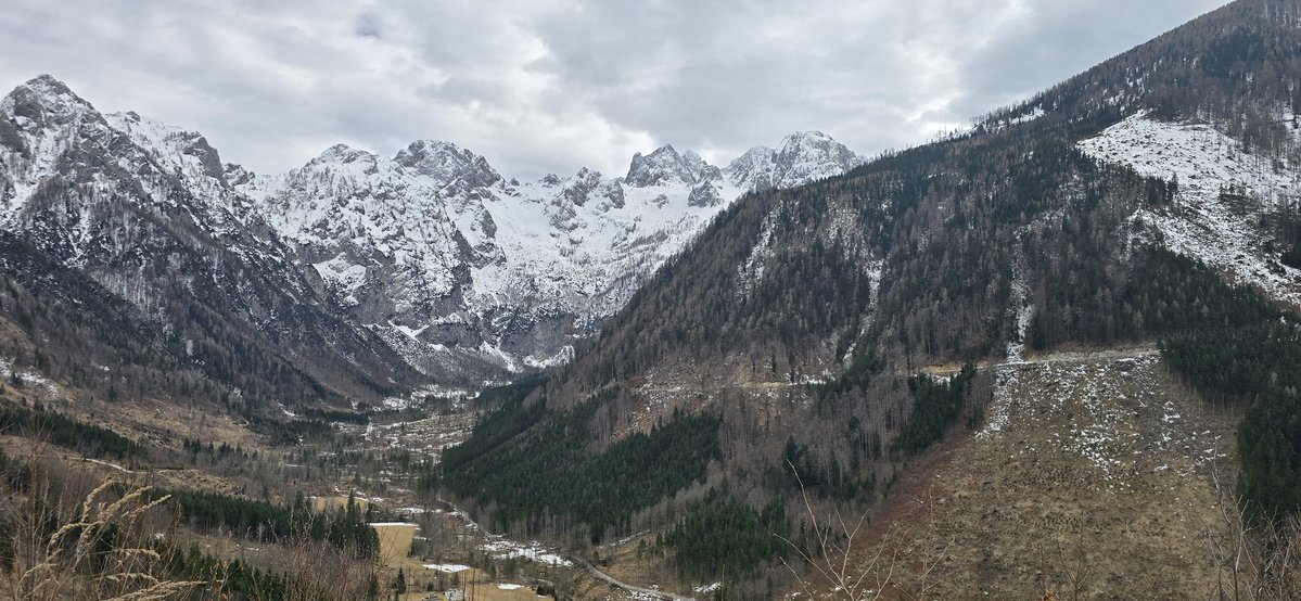 Reisefüchse tweet media