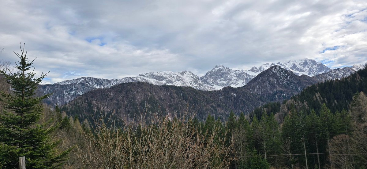 Reisefüchse tweet media