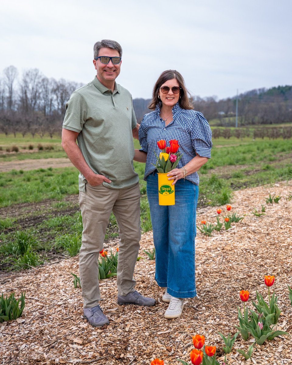 Stepp's Hillcrest Orchard tweet media