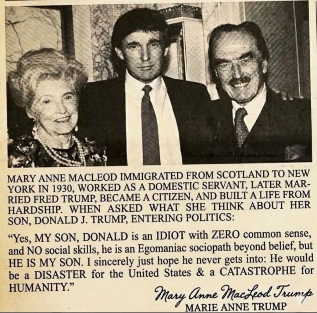 Targui🌴 tweet media