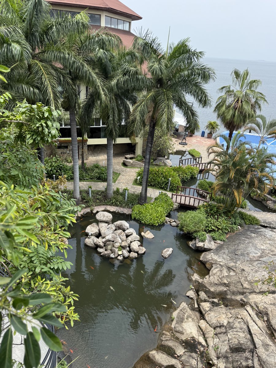 NYANI MZEE tweet media