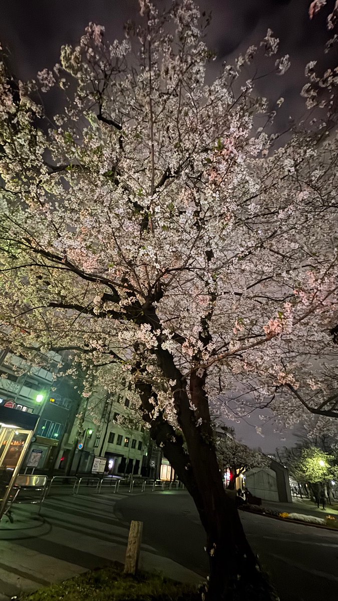 たけ@へむへむ🍊 tweet media