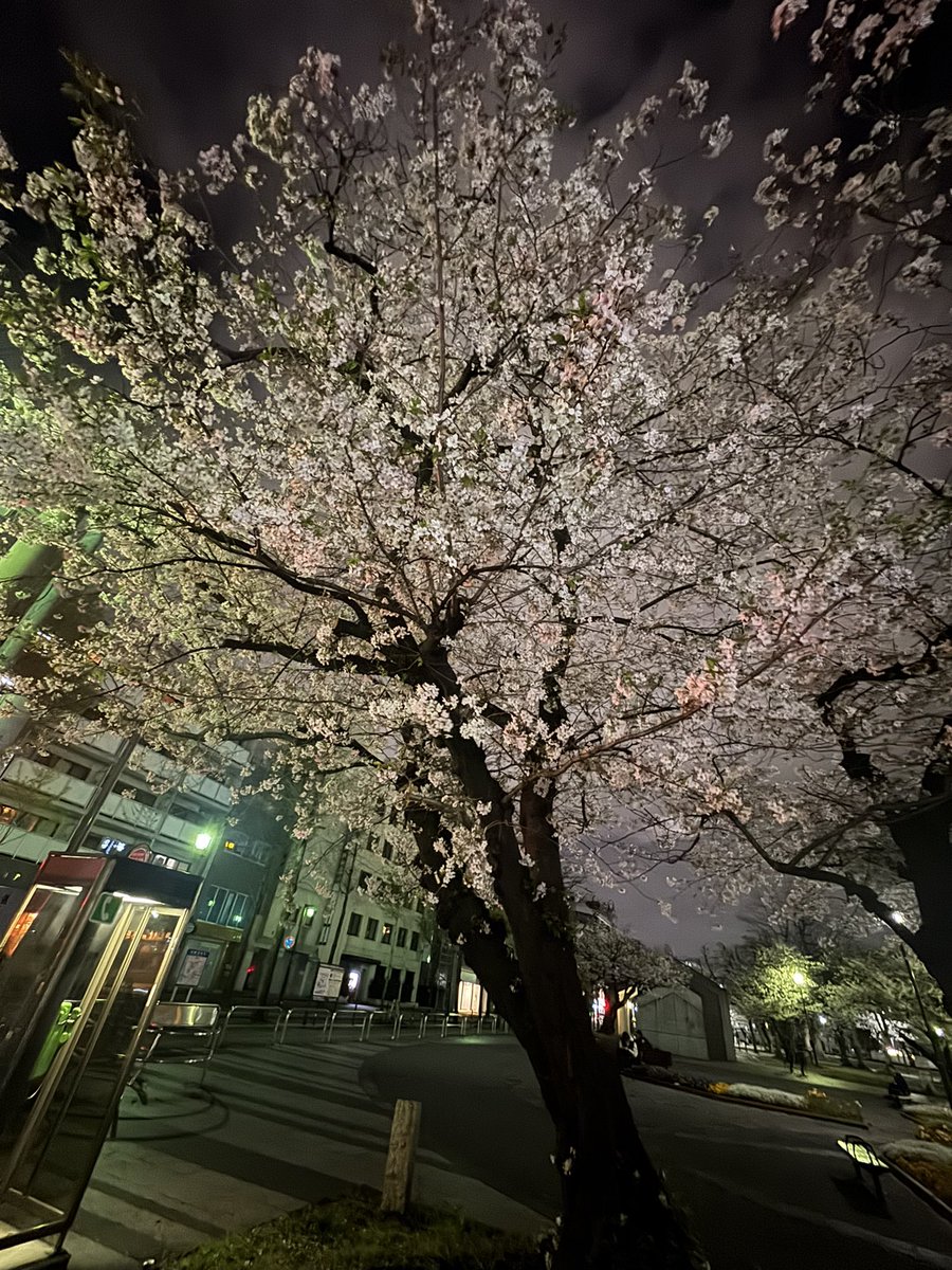 たけ@へむへむ🍊 tweet media