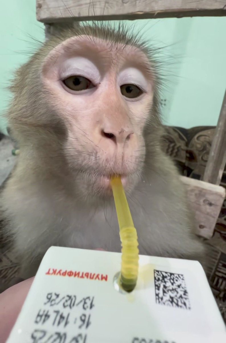 코알랑 tweet media