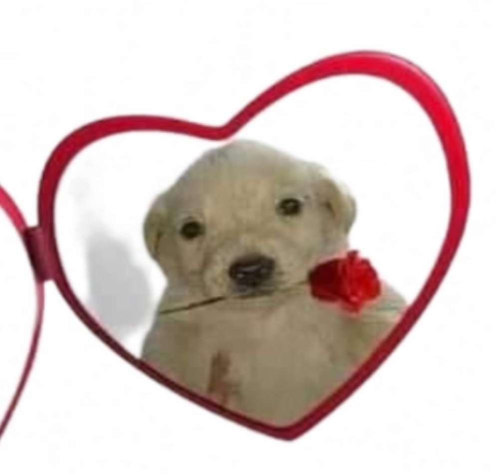 SummerTheKirinツ tweet media