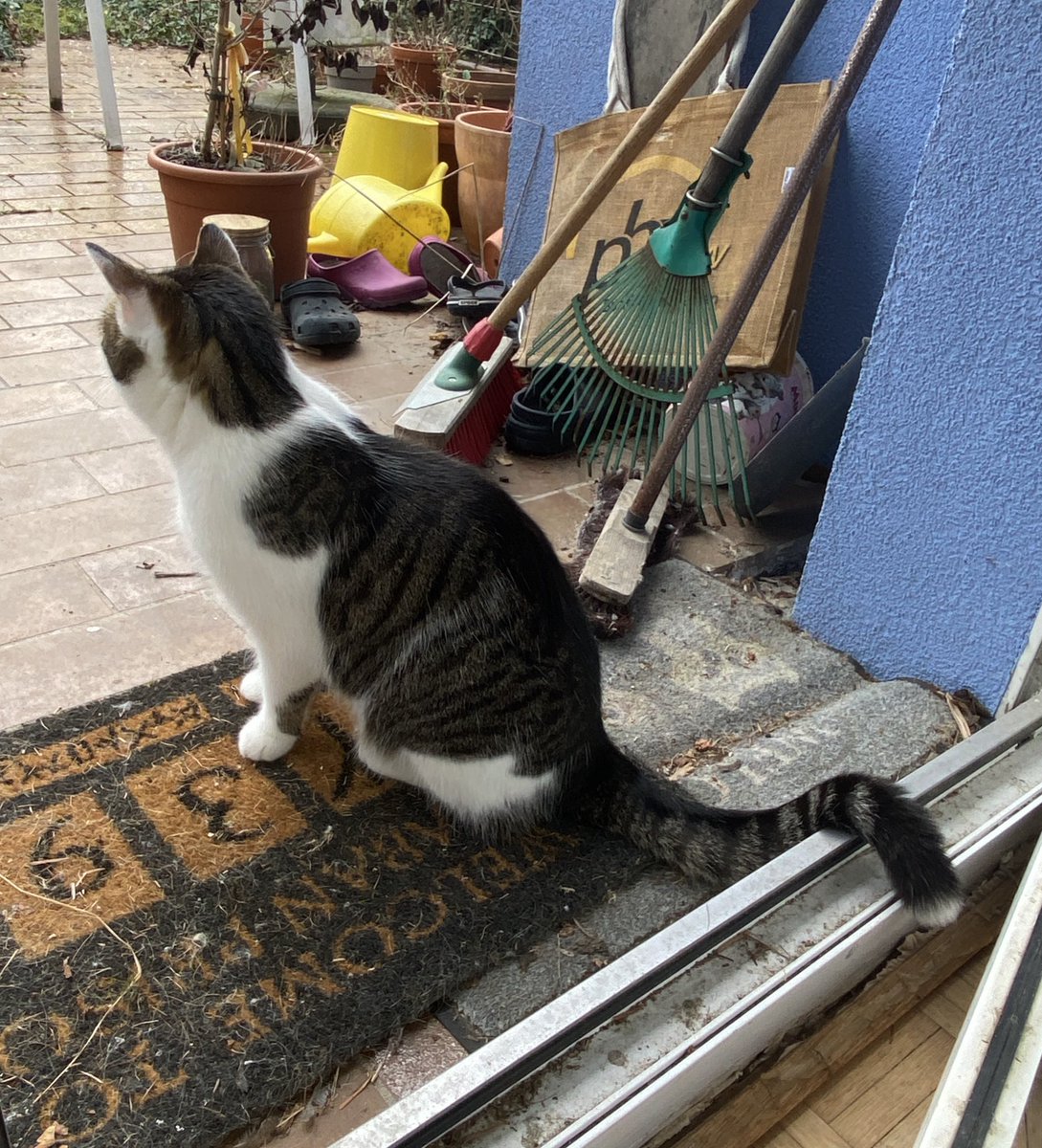 Eine kleine Dickmadam(e) tweet media