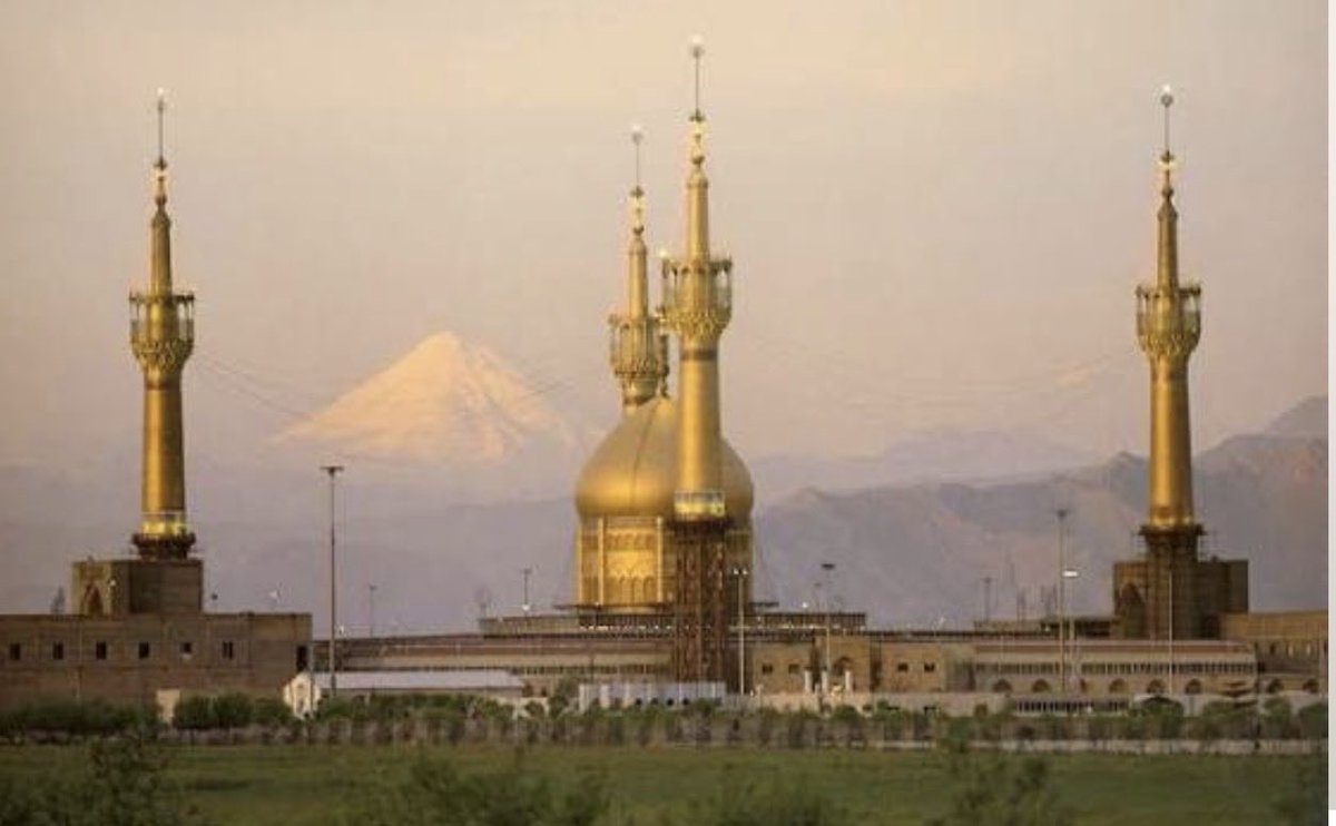 پسر عاقل نوح tweet media