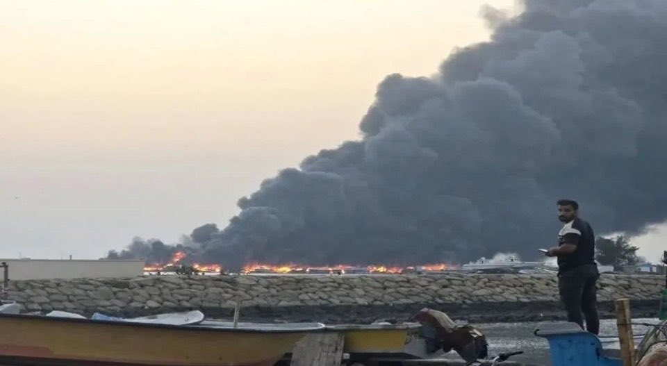 پسر عاقل نوح tweet media