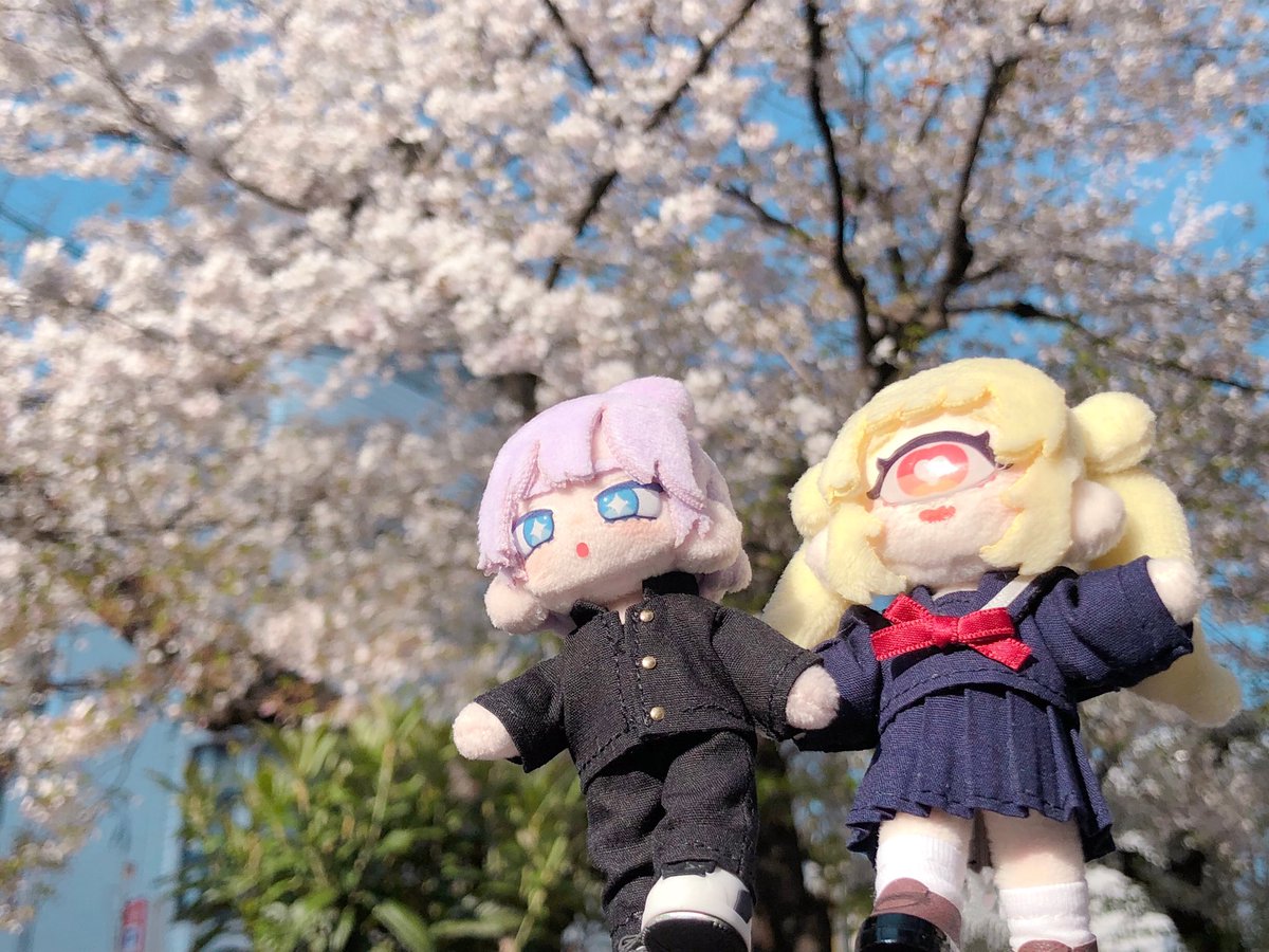 ゆこぷに tweet media