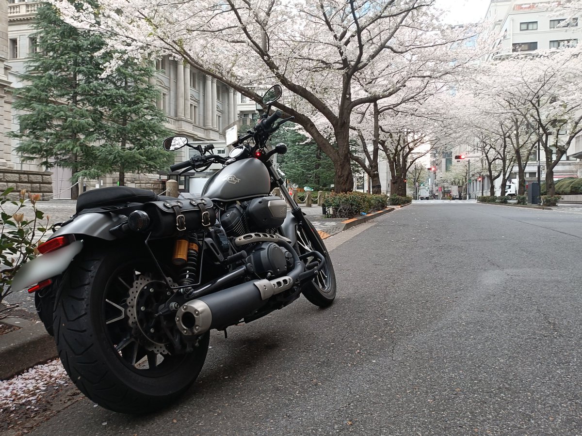 まめto𝑩𝑶𝑳𝑻⚡️ tweet media