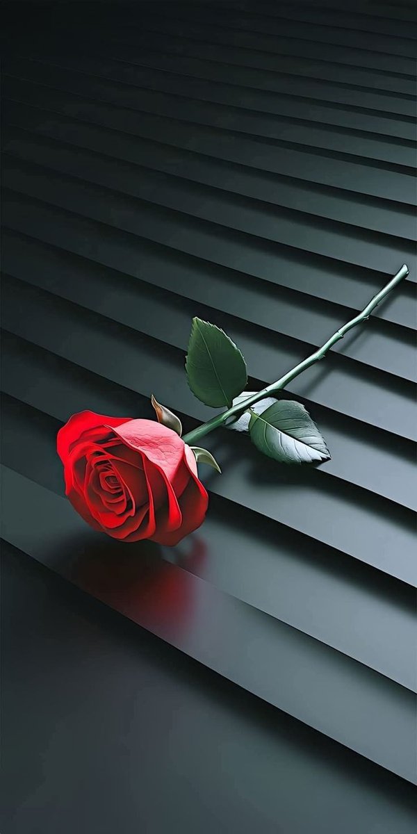 ✩˹Lɹ̤Iɹ̇bɺI յ̇Ĩgᓅ˼✩ tweet media