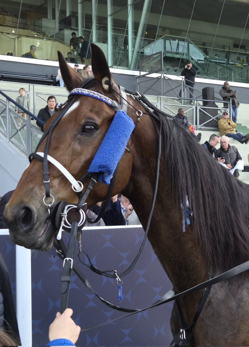 Lucas Benoit tweet media