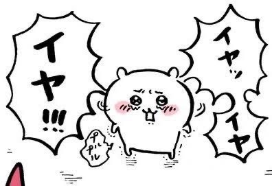 湊貴大｜トゥライ tweet media