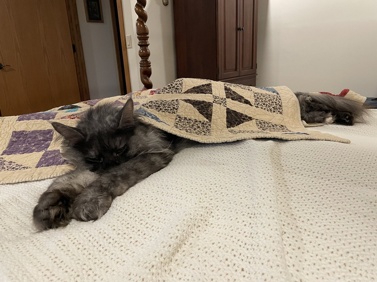 Yes, the bed will remain unmade this morning.