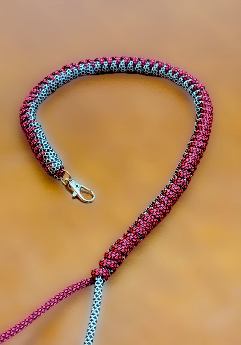 いずひ🍺 tweet media