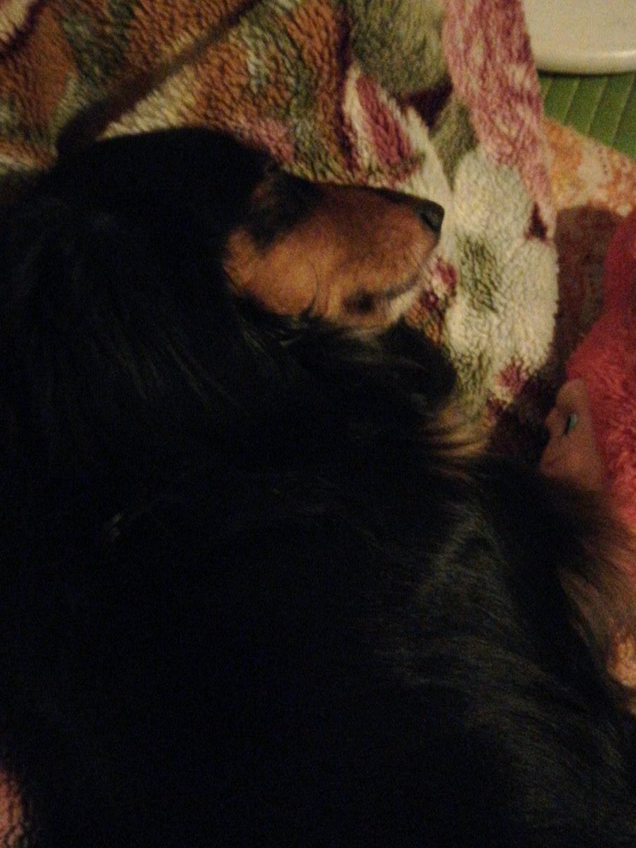 フィオナ tweet media