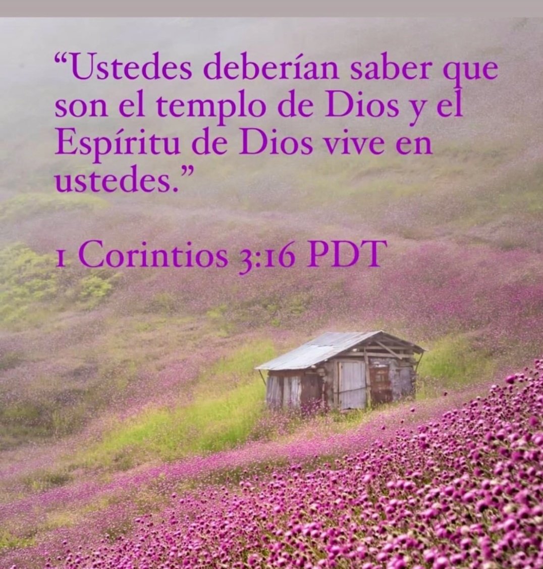 Magdalena tweet media