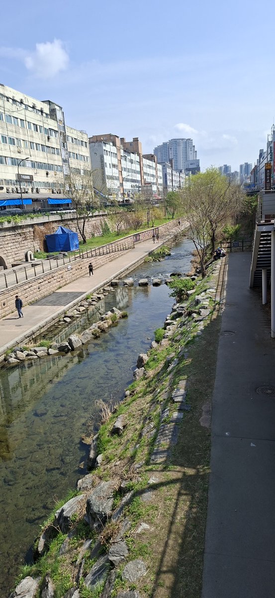 Ардын багш нь байнаа. tweet media