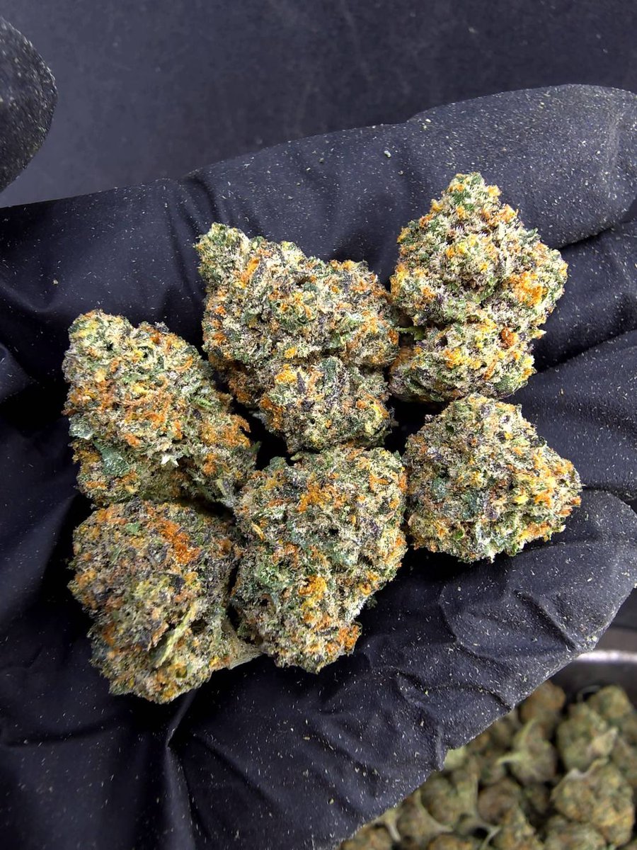 HippieVibe999's tweet photo. Blue Zushi 🍱🫐
Indica 🌙
THC ≈ 27%
Size : Pop
Aroma : 🫐 Berry · 🌿 Herbal · 🍬 Sweet · ⛽ Light Gas
inbox me 💬 👇🏻
➡️ https://t.co/lCmrEBHqs5
#กัญชา #weed #กัญชากรุงเทพ #OG #สายเขียว #cannabis #กัญชาส่งGrab https://t.co/k7yC3jMLO2