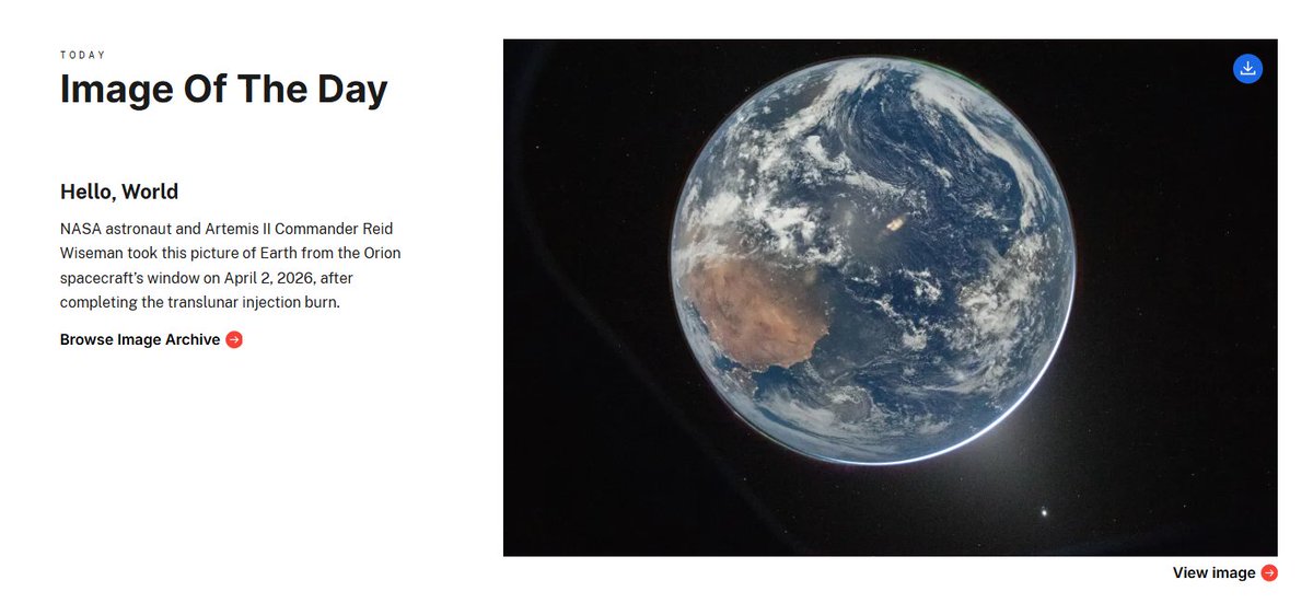 copper maxxing tweet media