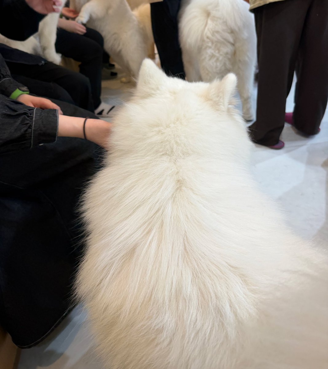 (.ﾟωﾟo｢心実｣o tweet media