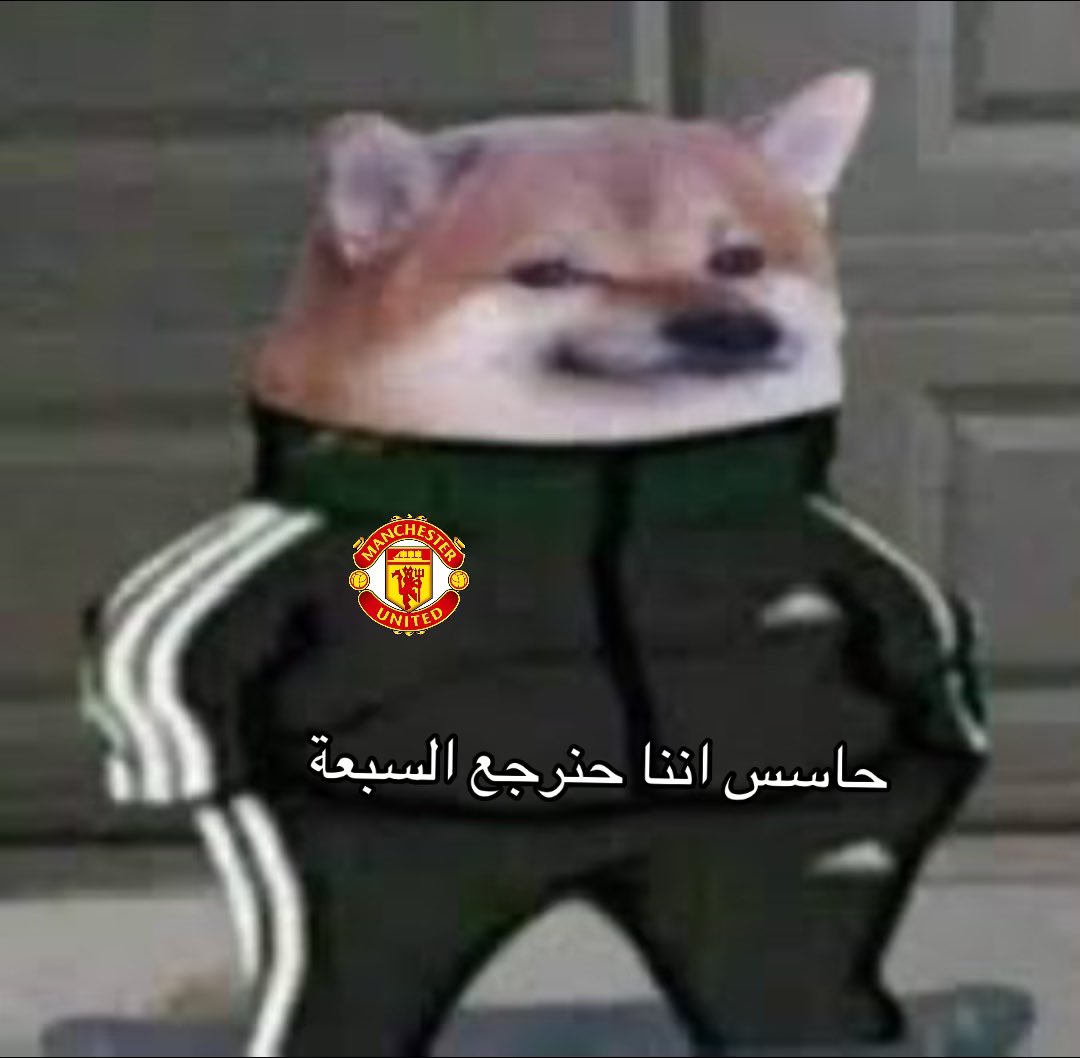 أ ر و ى tweet media