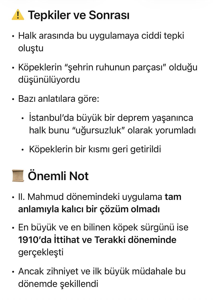 Kutsal Bayraktar tweet media