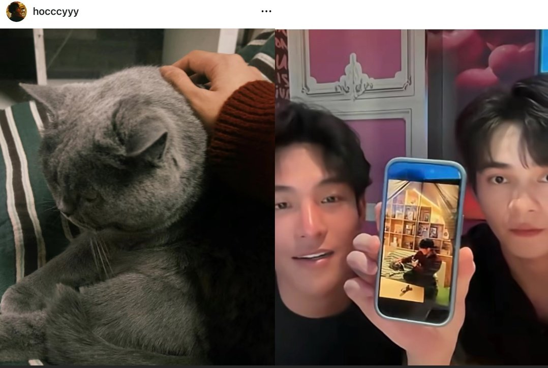 Guzz💛🦋🍫👌 tweet media