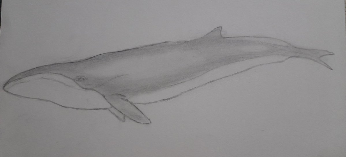 Geschmolzenen tweet media