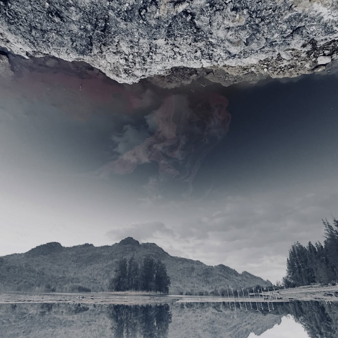 🌸lililiaaa🌸 tweet media