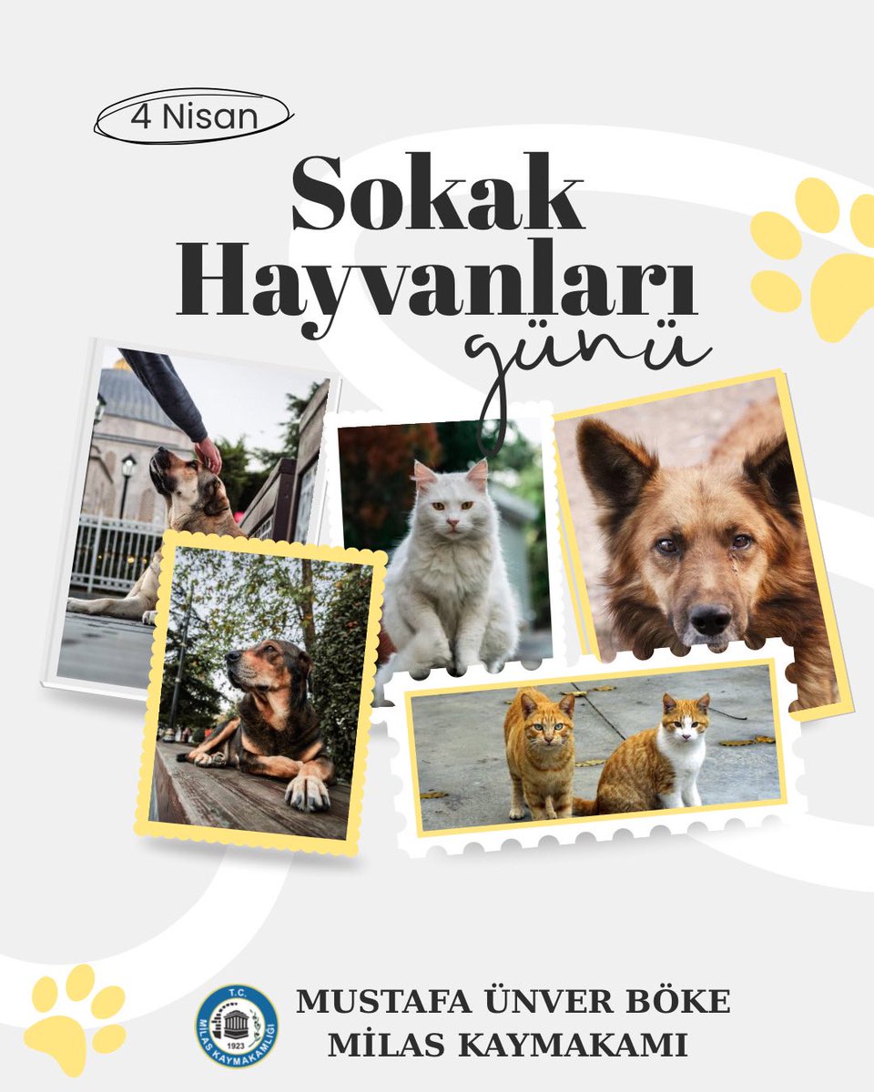 Milas Kaymakamlığı tweet media