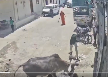 Starlightstream2001 tweet media