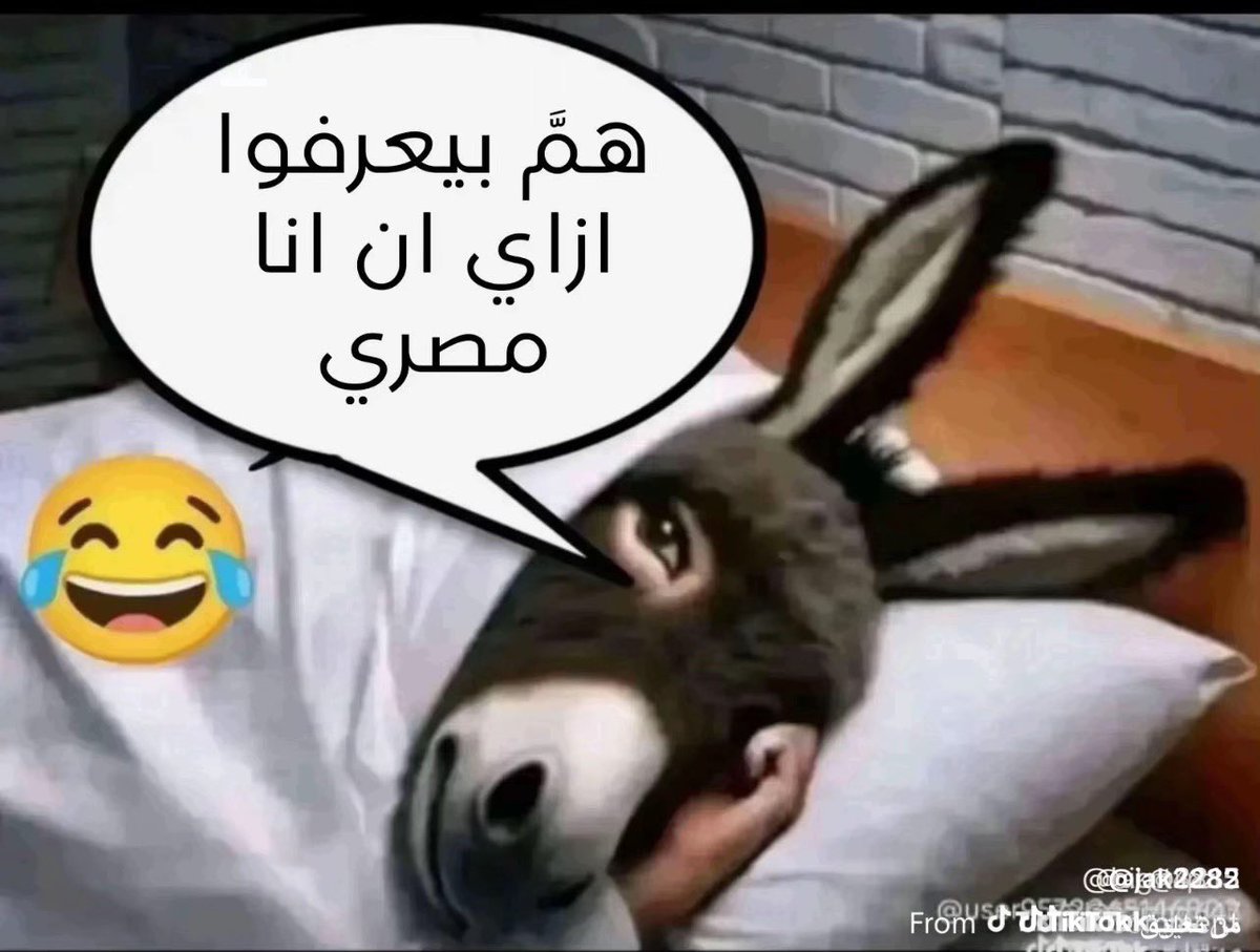 ابوفيصل tweet media