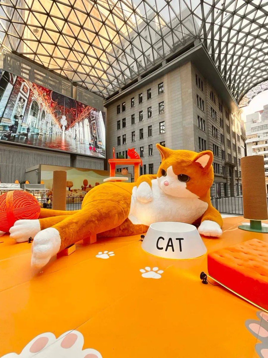 corinna   stump tweet media