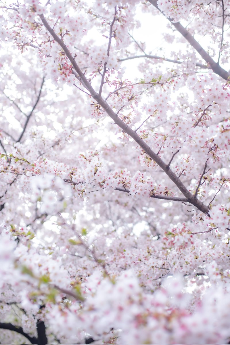 みのじ📸 tweet media