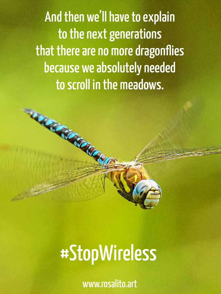 And then we’ll have to explain to the next generations that there are no more dragonflies because we absolutely needed to scroll in the meadows.