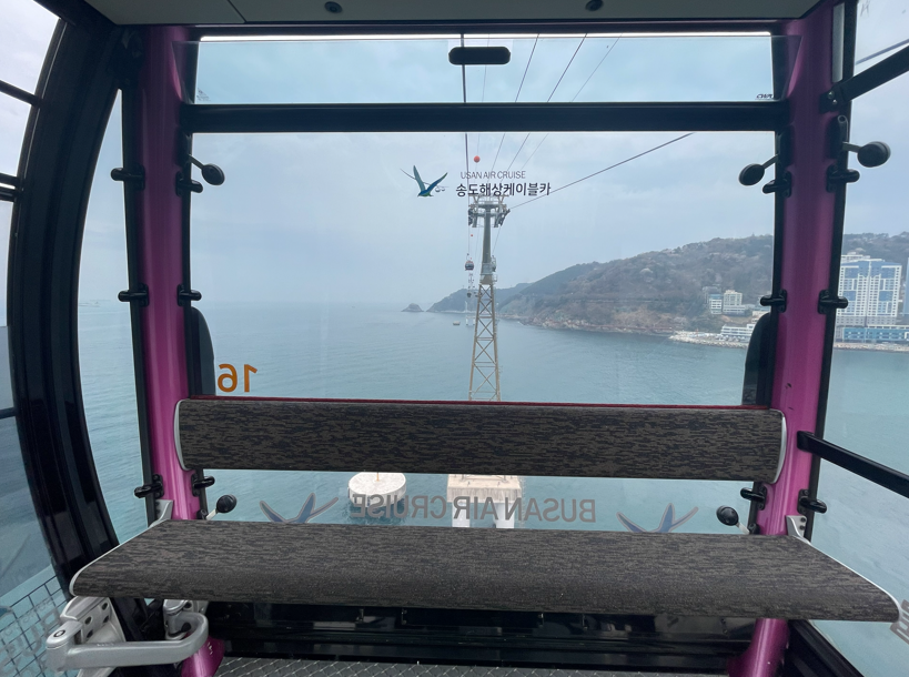 Mogoon the fish 🐟 tweet media