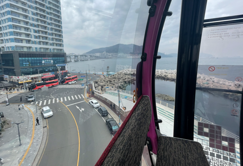 Mogoon the fish 🐟 tweet media