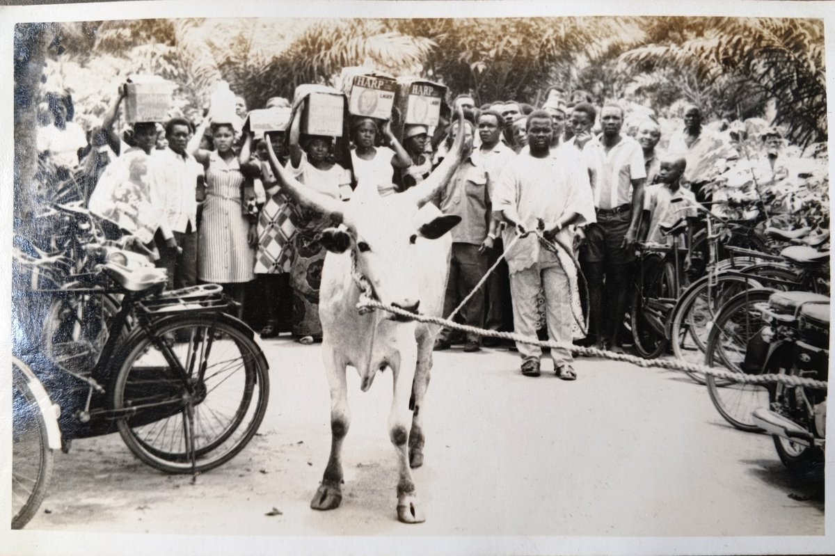 NNANYELUGO 🦅🇦🇫🇦🇫 🇦🇫 tweet media